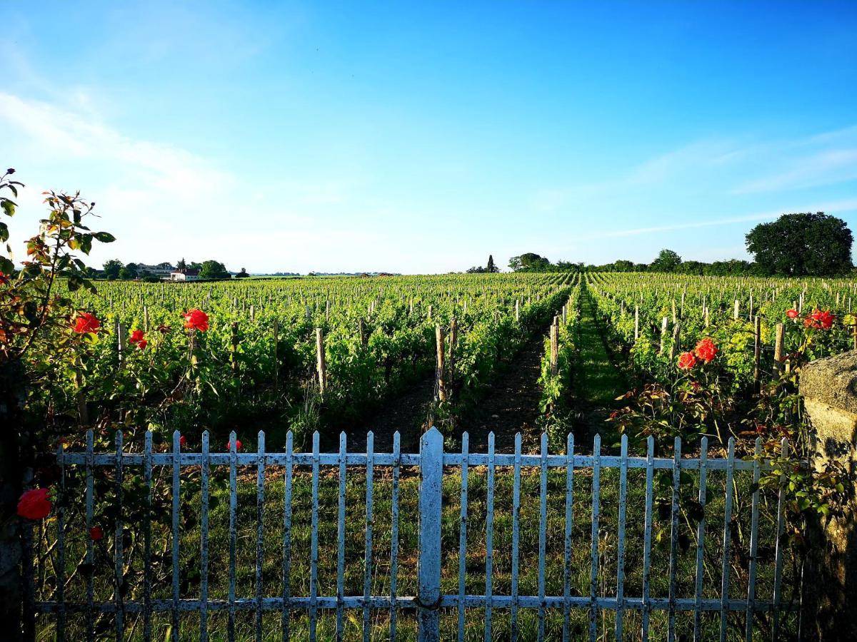 Апартаменты La Maison Des Vignes Saint Emilion Экстерьер фото